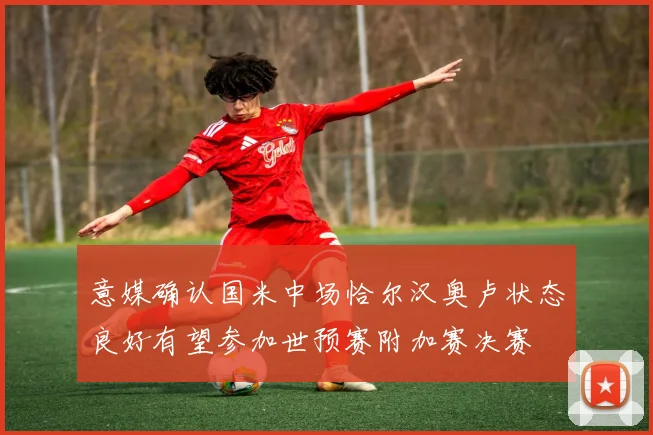 意媒确认国米中场恰尔汉奥卢状态良好有望参加世预赛附加赛决赛