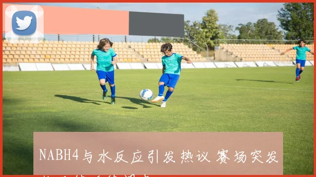 NABH4与水反应引发热议 赛场突发状况待后续调查
